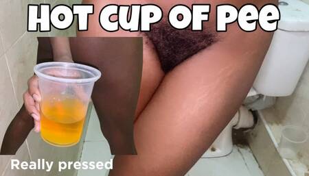 Hot Cup of Pee Compilation MP4 Rowanie pees in a cup in between her hairy Ass and legs shot in a Point of View all sound on with no external noise HD only pee sounds in my toilet