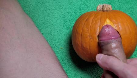 I fuck a wet pussy and a pumpkin. What is better?