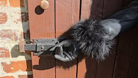 HTF - Trainings Camp - ENTIRE