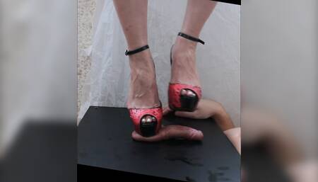 Mrs. Korolina thrusts her heel into the penis. Penis torture. BDSM of the urethra. Member trampling.