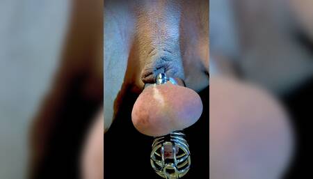 You can't masturbate in a chastity belt!