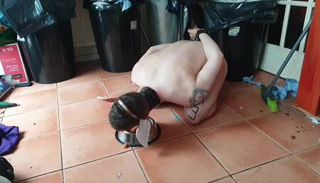 loser chastity pig eatting cold scraps of food froma used dog bowl