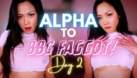 Alpha to BBC Faggot: Day 2