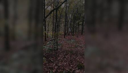 Pinned on a tree by a strangers dick