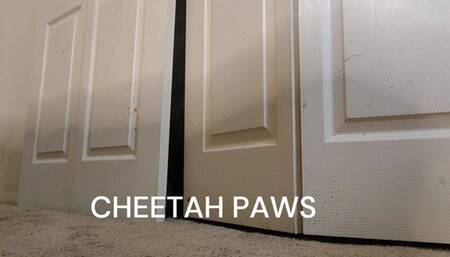 CHEETAH PAWS PT 2