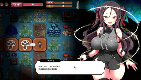 【H GAME】メス吸血鬼とオホ声の森♡デカッすぎッおチンポに屈する淫魔 巨乳 エロアニメ