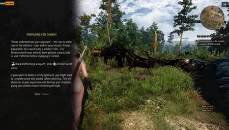 The Witcher 3: Wild Hunt Nude Game Play [Part 03] Witcher 3 Nude Mods with Storyline