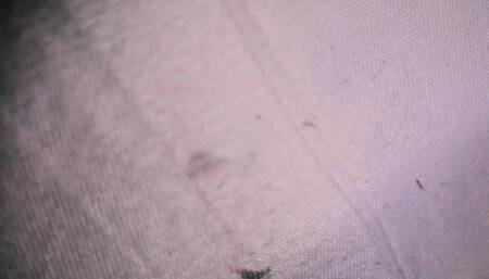 අල්ලපු ගෙදරට කොටුවක් පැනල නයිටියෙන් හිටපු කුමාරි අක්කට දිව දාලා කෙදිරි ගාන්නම ගහපු ගේම ,බඩු ඇතුලෙම