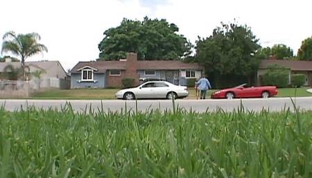 A Threesome That She Has Always Wanted