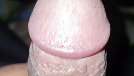 Indian Cock