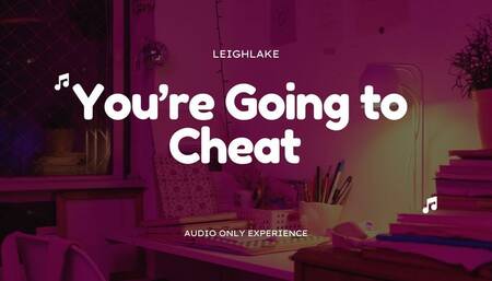 You're Going to Cheat - Homewrecker MP3 Audio - LeighLake