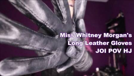 Miss Whitney Morgan: Long Leather Gloves JOI POV HJ - mp4