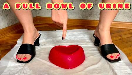 PISSED A FULL BOWL OF WARM, AROMATIC PISS, WHO'S THE STEPMOTHER'S LUCKY GUY? 1080 ENG SUB