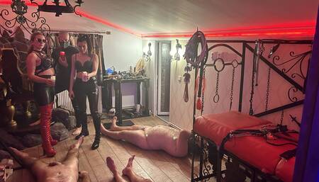 Hot drips on cock and balls - Intense waxing harem - Mistress Zeida Cluj Napoca Mistress BDSM