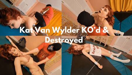 The Skull Destroys Kat Van Wylder Final