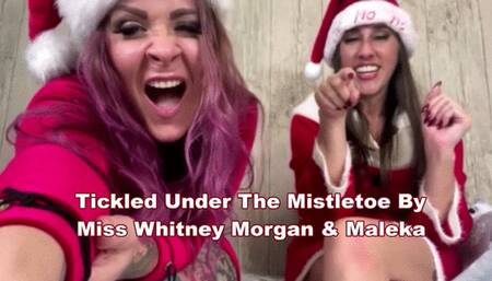 Tickled Under The Mistletoe By Whitney Morgan & Maleka - mp4