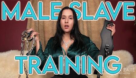 Male Slave Training