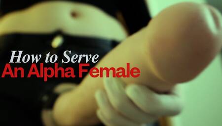 You Are My Beta Male Slave JOI