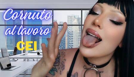Cornuto a lavoro CEI ITA