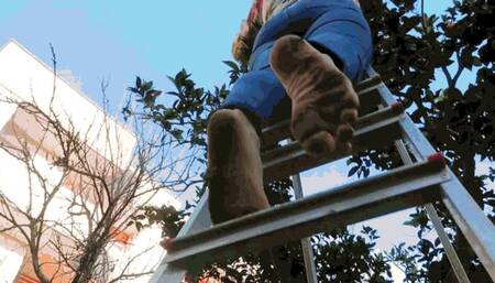 To the garden for oranges MP4 (1920x1080) FHD