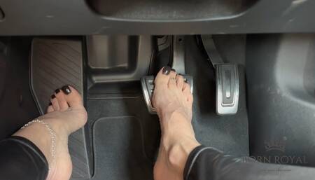 Driving while you jerk off (voice)