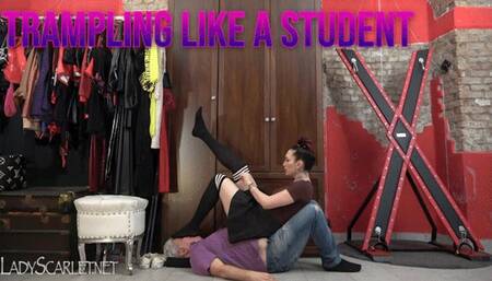 LADY SCARLET - TRAMPLING LIKE A STUDENT mobile