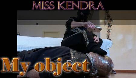 My object (Fixed POV)