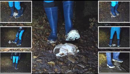 Custom Clip - Chicken vs Boots