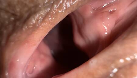 I passed my anatomy exam with flying colours because I filmed my neighbour fucking so close!