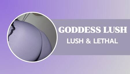 Worship My Chocolate Throne