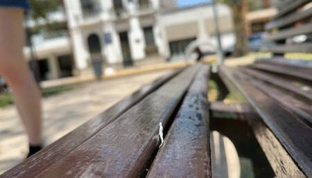 Tiny Torment: Trapped in a Farting Goddess Asshole