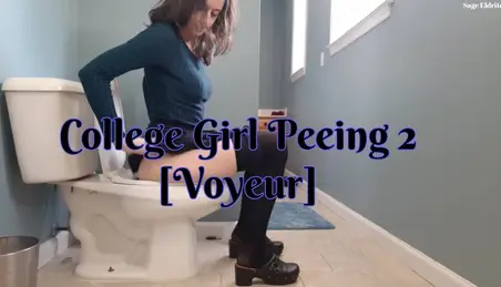 College Girl Voyeur - Bathroom Voyeur Porn Videos (14) - FAPSTER