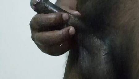 Who likes desi land?