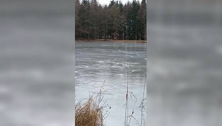 Dray Slave on the Ice