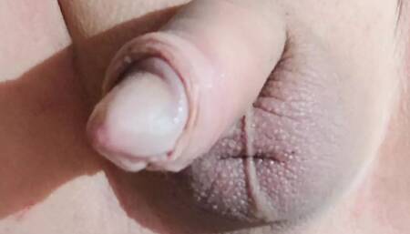 Horny ride on the thick butt plug