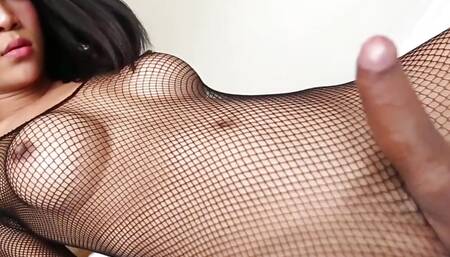 Ladyboystar- super sexy Asian Ladyboy in Fishnet fucked by Tourist