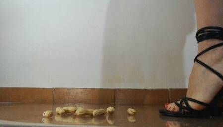 le noccioline - the peanuts