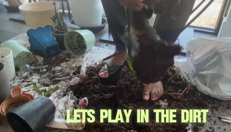 Lets Play in the Dirt