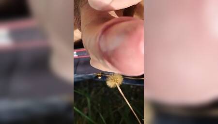 Piss and Cum Outdoor
