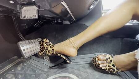 Hauling Serious ASS And Driving In Leopard Skin Mules