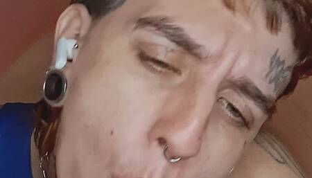 Orchidquincetransman