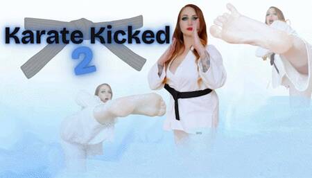 Karate Kicked 2 (MP4 SD)