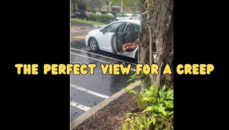 The Perfect View for a Creep