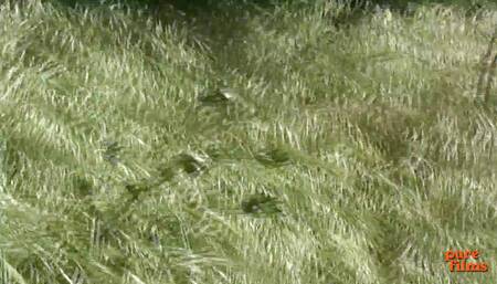 Fucking my horny black stepdaughter