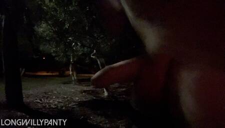 Straight guy goes flashing his dick in park in this risky dare.