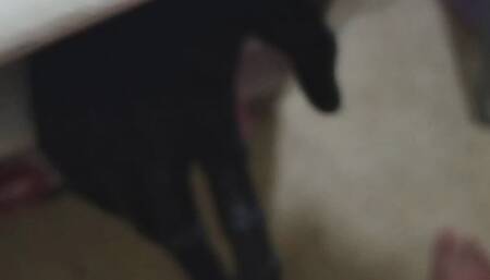 Playing with myself so hot , i handjob a dildo while i touch myself