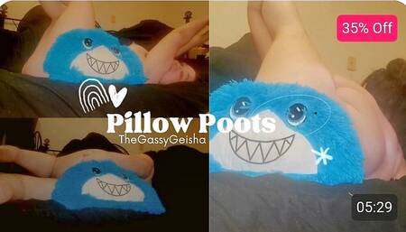 Pillows & Poots