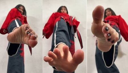 Little Dragon 2 Final