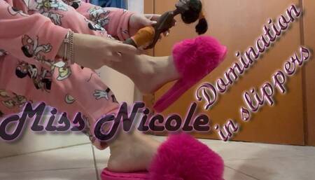 Domination in slippers 2