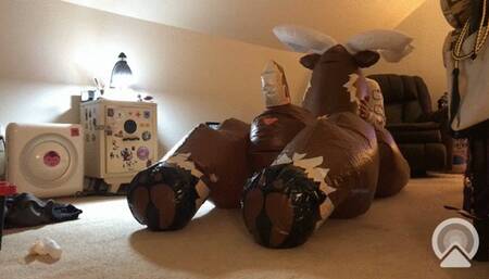 Reindeer inflatable gets laid